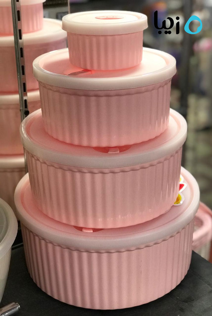 Ziba Sazan Plastic Food Container Bowl Set With Lid Of 4 Iran Made