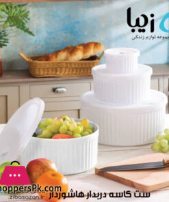 Ziba Sazan Plastic Food Container Bowl Set with Lid of 4 Iran Made