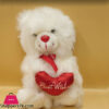 Ziqi Teddy Bear Wishes Heart 10 Inch 2 Ziqi Teddy Bear Wishes Heart 10 Inch