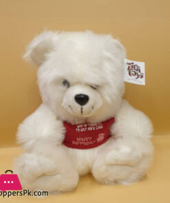 ZiQi Teddy Bear Birthday T-shirt 12 Inch