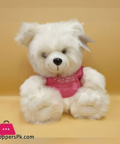 ZiQi Teddy Bear Pink JACKET 12 Inch