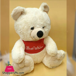 ZIQI Teddy Bear With T-SHIRT 18 Inch B