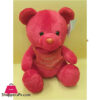 Ziqi Teddy Bear Red 30Cm