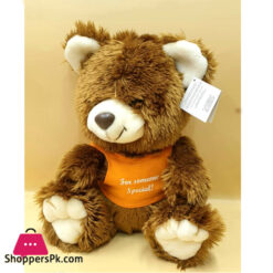 ZIQI Teddy Bear Brown lilac Orange 12 Inch