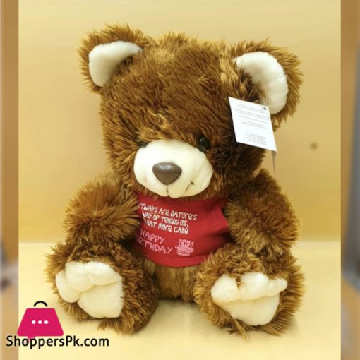 ZIQI Teddy Bear WITH Brown Lilac Red 12 Inch