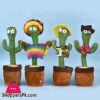 Dancing Cactus Plush In Pot Singing Dancing Baby Repeats What You Say Dancing Toy Dancing Cactus