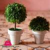 The Florist Artificial Plant Pot Set Of 2