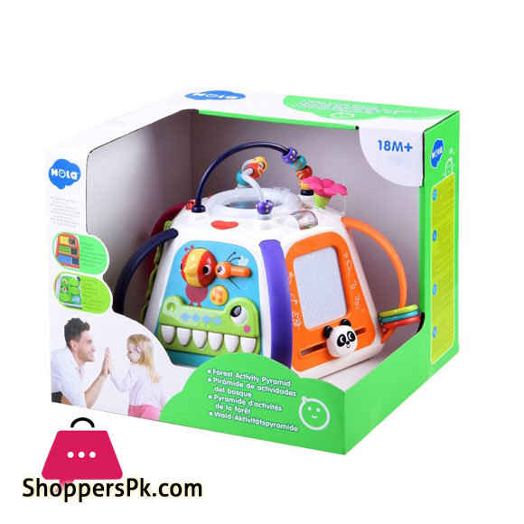 Hola Forest Activity Pyramid 3 Hola Forest Activity Pyramid