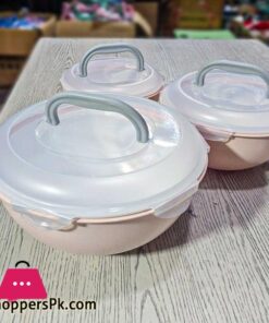 Portable Sealed Salad Bowl 3pcs Set