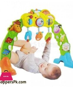 Best 3 in 1 Barnyard Pals Winfun Play Gym Kids Toy