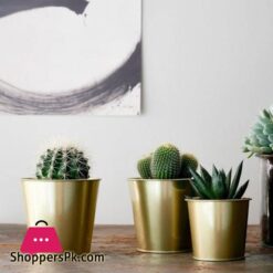 Daidai - Plant Pot (Brass-Colour - 9 Cm)