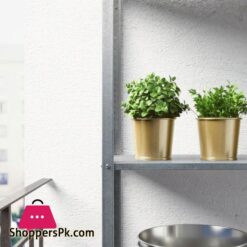 Daidai - Plant Pot (Brass-Colour - 9 Cm)