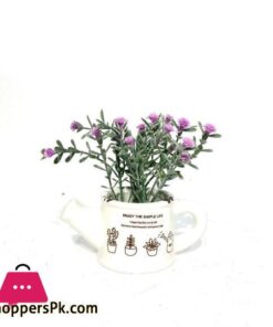 Mini Plant in White Pot