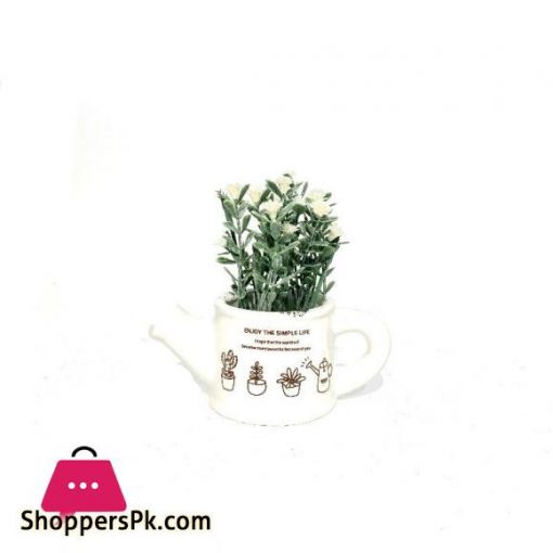 Mini Plant in White Pot