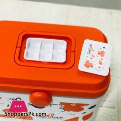 Portable Multi-Storage Medicine Box