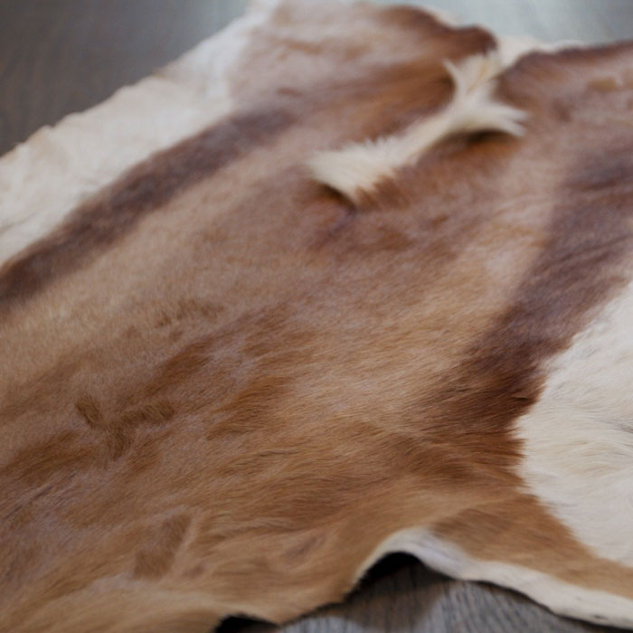 Real Deer Springbok Skin Area Rug