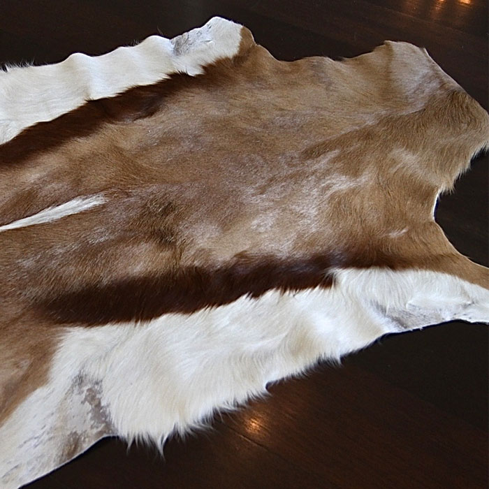 Real Deer Springbok Skin Area Rug
