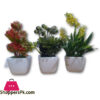 The Florist Artificial Plant With Small Pots - 3 Pieces Set - Fl8