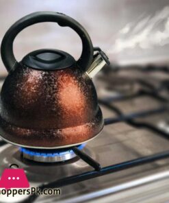Vicalina Stainless Steel Kettle
