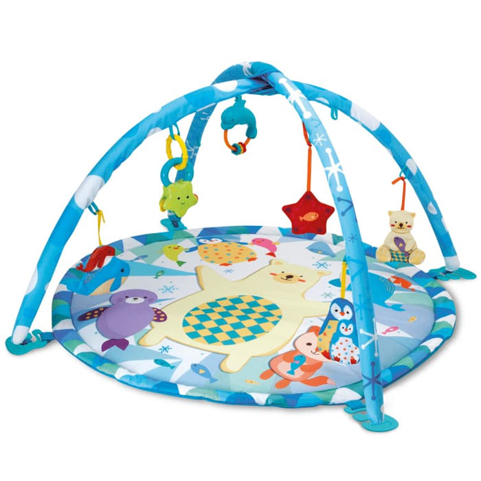 Winfun Polar Gym – 0843