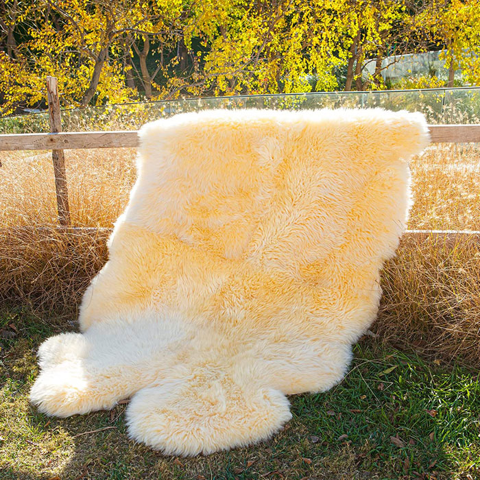 Quad Sheepskin Rug Large Sheep Skin 4 Pelt – Soft Champagne Fur