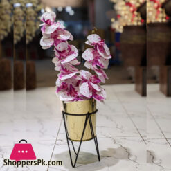 Artificial Orchid Arrangement