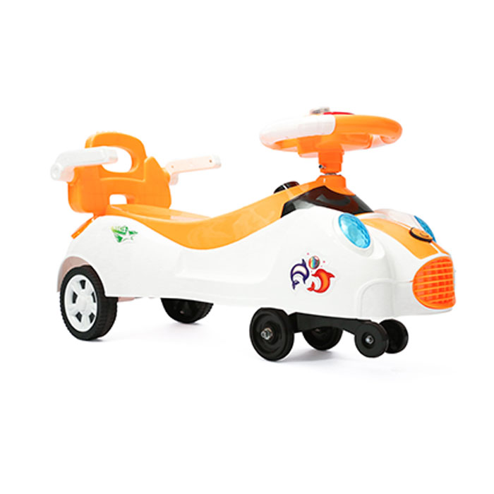 Dolphin Ride With Support For Kids