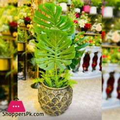 Fiber Base Big Planter