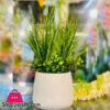 Fiber Pot Indoor Table Decor Planter