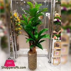 Home Decor Artificial Floor Planter Corn Plant With Unbreakable Pot - 6 Feet