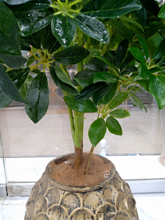 Home Decor Artificial Floor Planter Dora Plant With Unbreakable Pot - 4.5 Feet