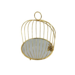 Cage Serving Clear Mirror 6c WB774