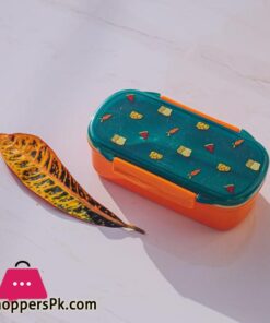 Bento Lunch Box Model 2 Pack of 2