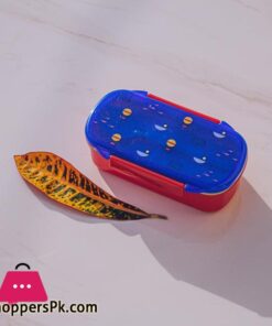 Bento Lunch Box Model 2 Pack Of 2