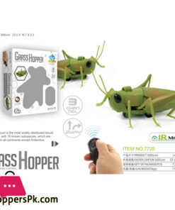 RC Grasshopper-Remote Control Grass Hopper Animal Toy