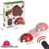 Simulation Bugs Infrared Remote Control Toy- Lady Bug 8 Simulation Bugs Infrared Remote Control Toy- Lady Bug