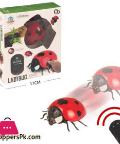 Simulation Bugs Infrared Remote control toy- Lady Bug