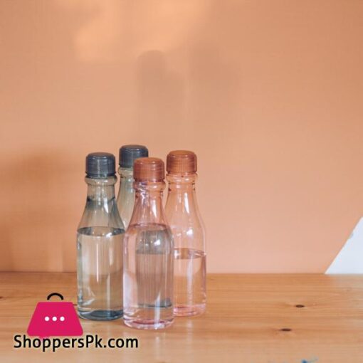 Safari Water Bottle Pack of 4