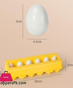 Matching Eggs Color Recognition Count 12 Pieces 11B