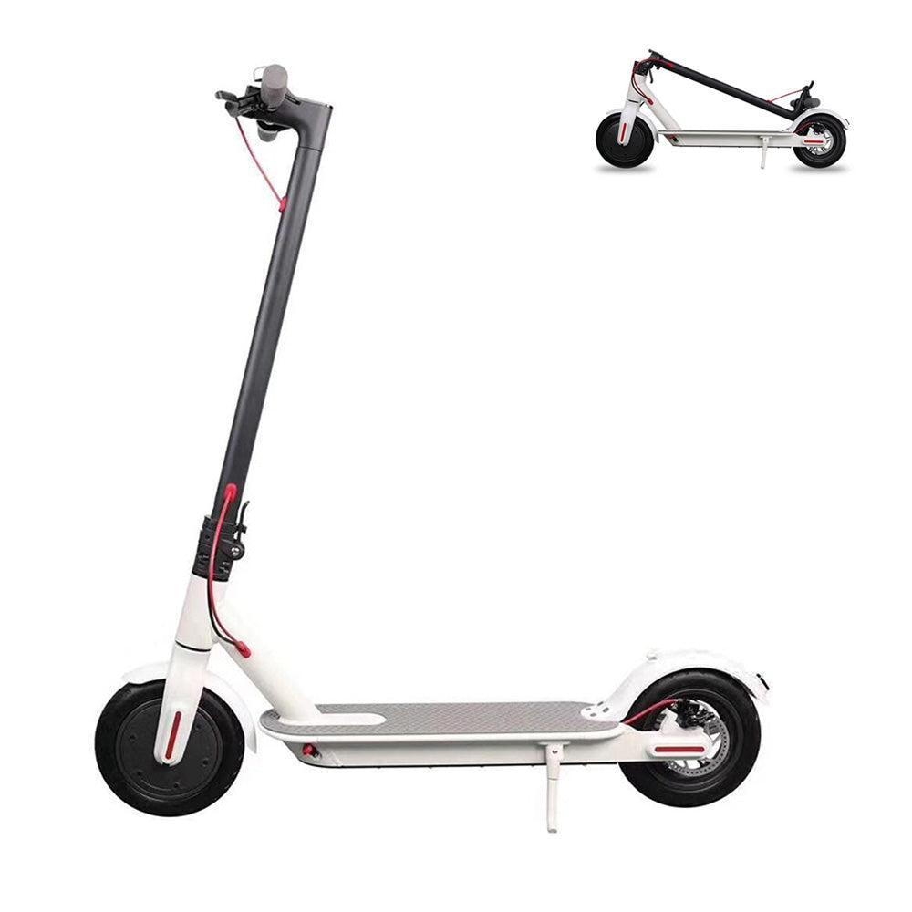 Electric Scooter Winner Sky 365