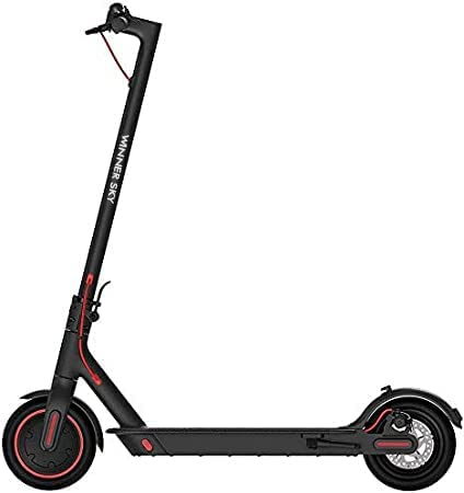 Electric Scooter Winner Sky 365