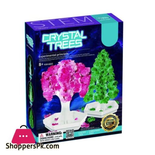 2 in 1 STEM Crystal Experiment Kit Cherry Christmas Tree