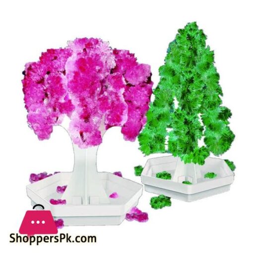 2 in 1 STEM Crystal Experiment Kit Cherry Christmas Tree
