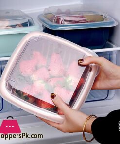 Maxware Double Tier Storage Box With Lid Household Refrigerator Fruit Vegetable Drain Basket 30 Bellylady Double Tier Storage Box With Lid Household Refrigerator Fruit Vegetable Drain Basket