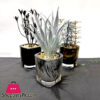 Glass Pot Table Centerpiece Potted Artificial Flower Pack Of 3