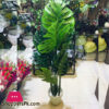 Artificial Mony Plant With Pot