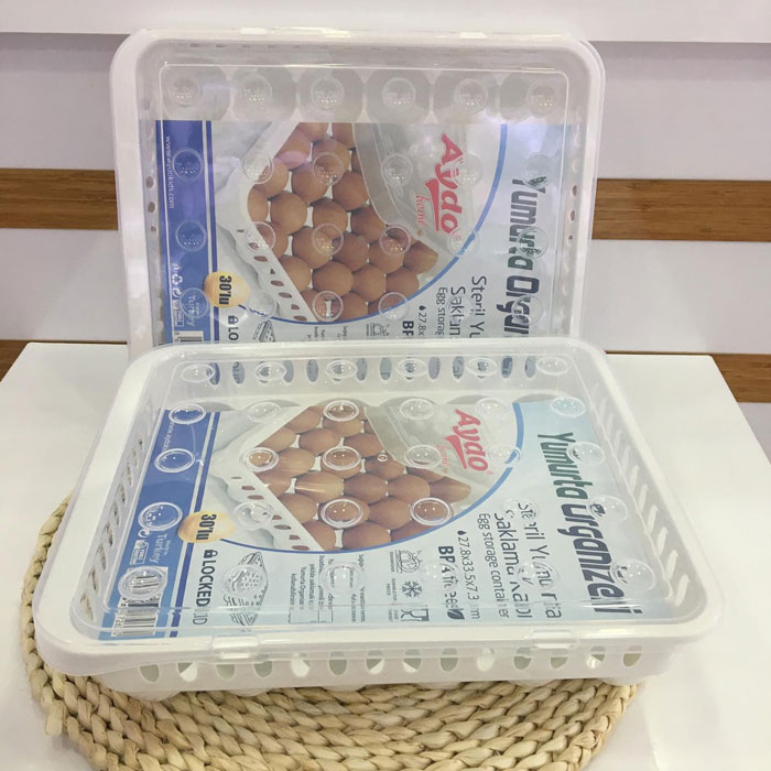 24 Grid Egg Storage Container Turkey Made - 2355