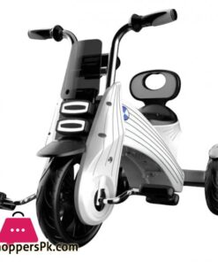Baybee Geox Kids Tricycle 13 Baybee Geox Kids Tricycle