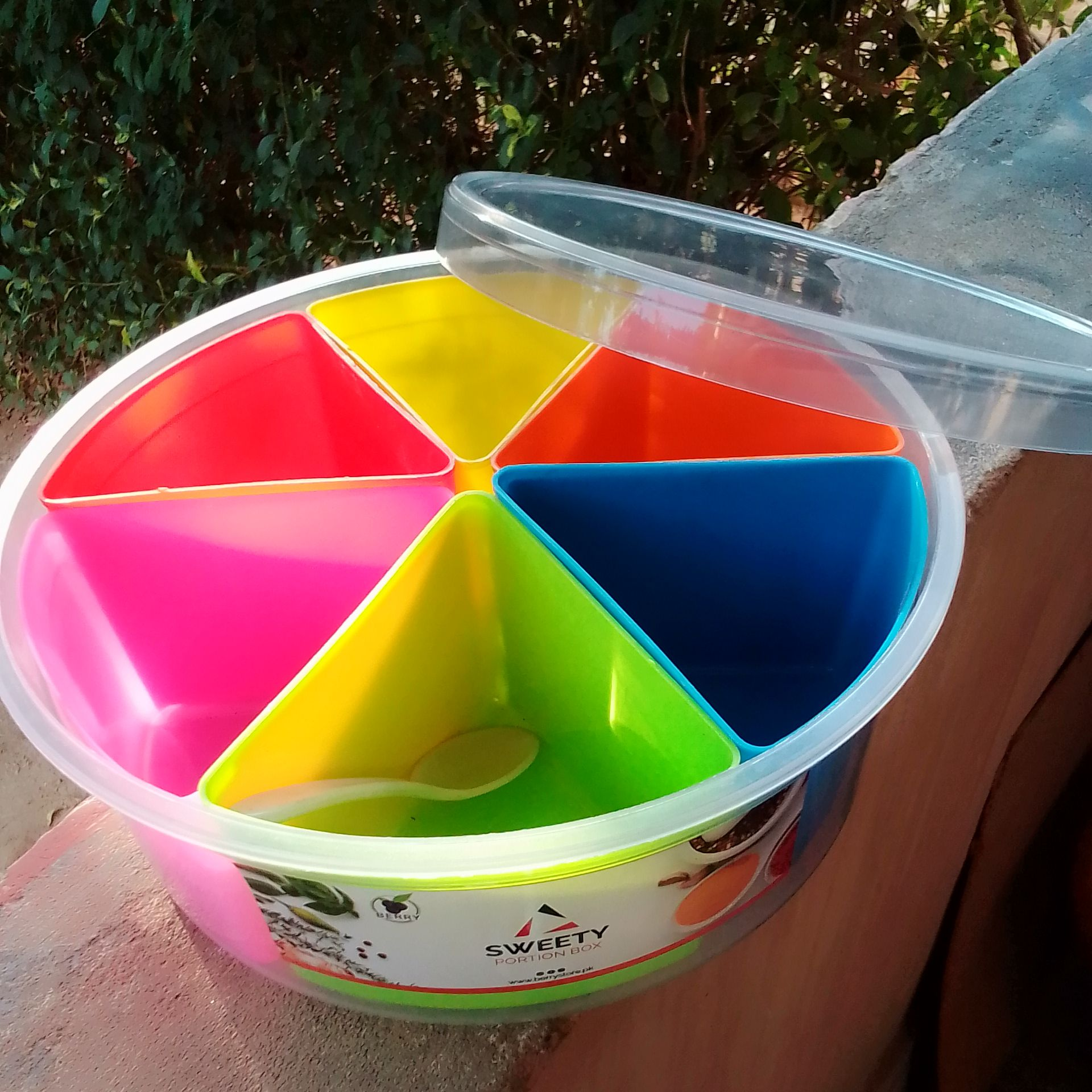 6 Partition Masala Box Multicolor