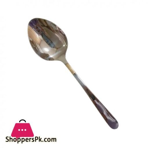 CS0028SH Lining Curry Serving Spoon